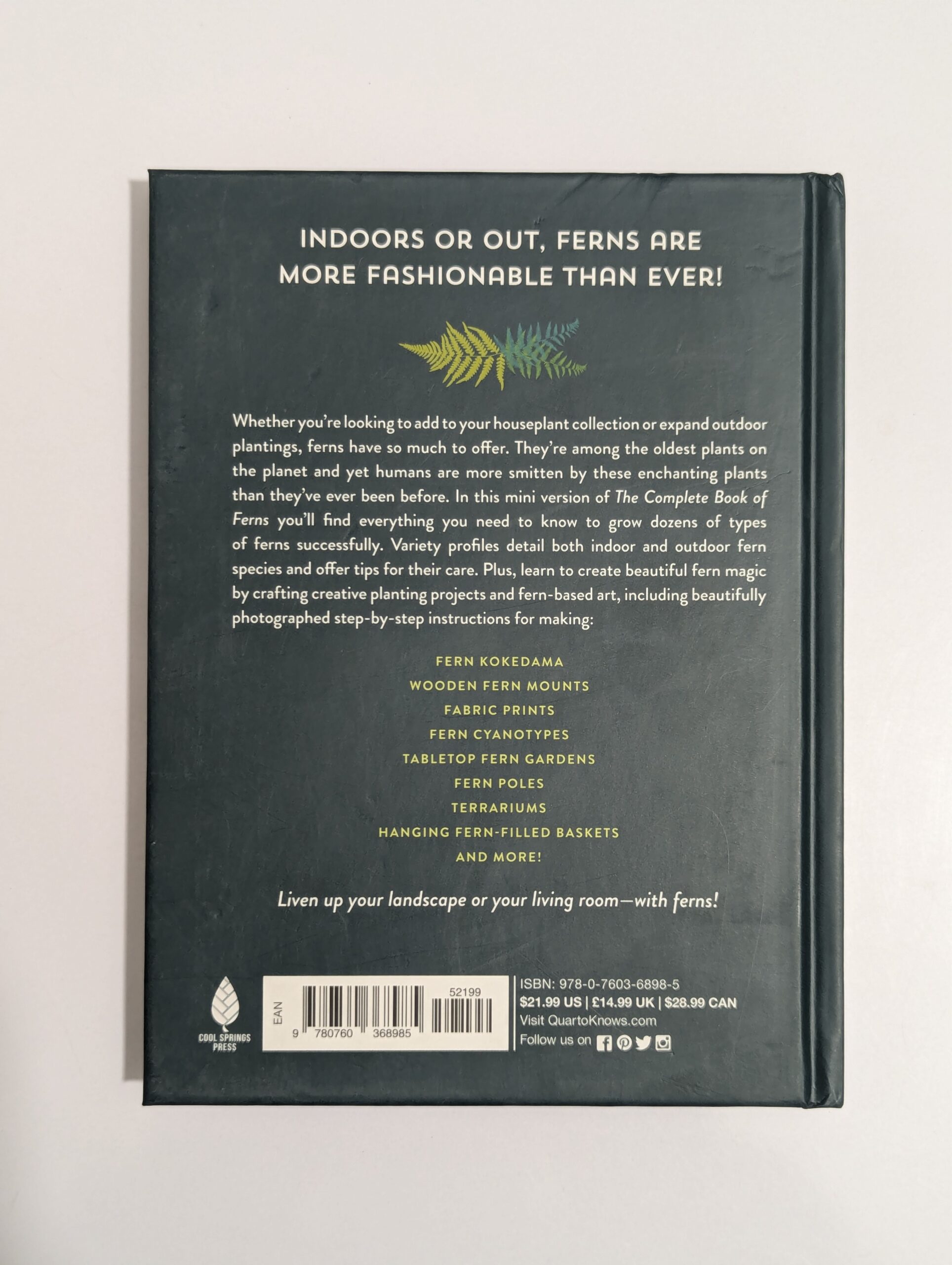 Ferns book by Mobee Weinstein — a complete guide to growing ferns indoors and outdoors with creative crafting projects