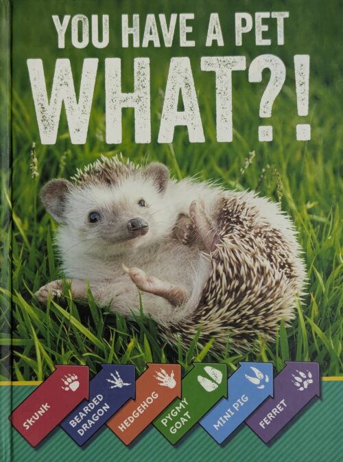 You Have a Pet What book cover — unusual pets for kids — skunk bearded dragon hedgehog pygmy goat mini pig ferret